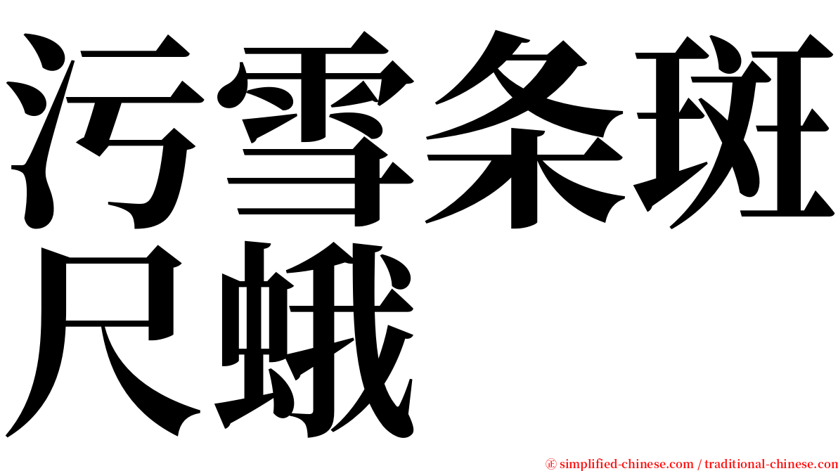 污雪条斑尺蛾 serif font