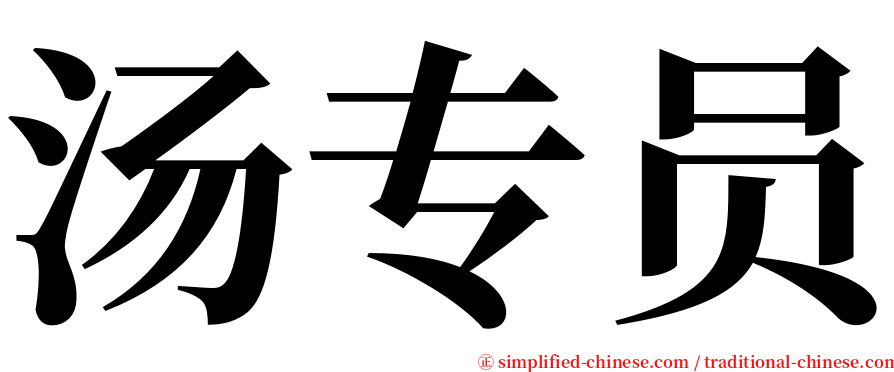 汤专员 serif font