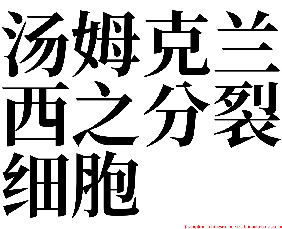 汤姆克兰西之分裂细胞 serif font