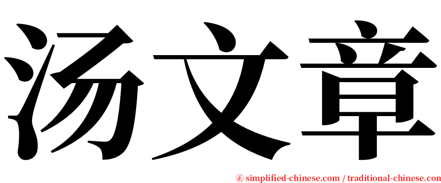 汤文章 serif font