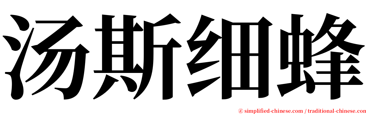 汤斯细蜂 serif font