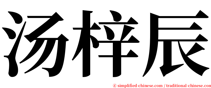 汤梓辰 serif font