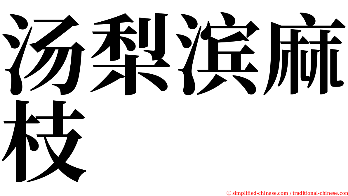 汤梨滨麻枝 serif font