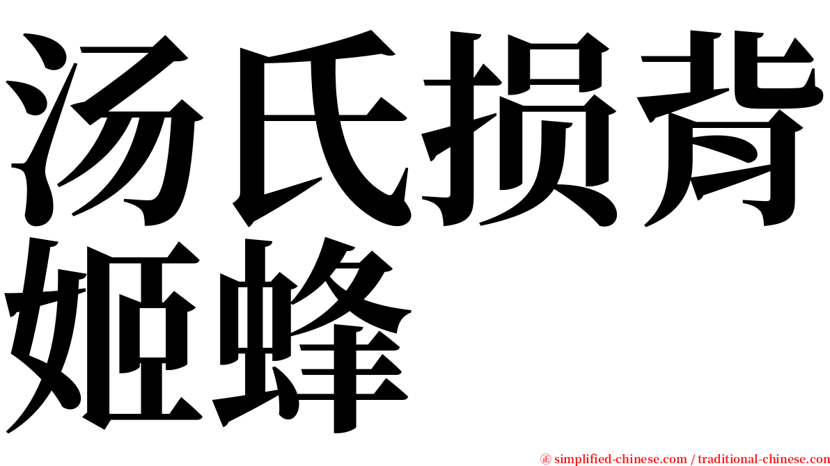 汤氏损背姬蜂 serif font