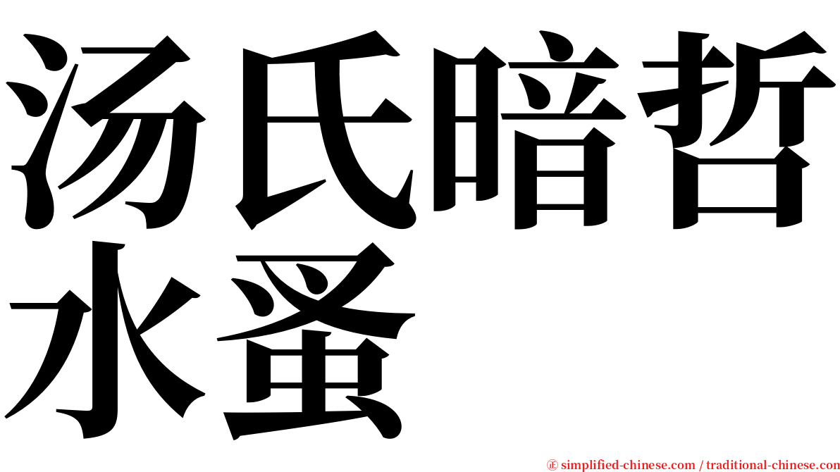 汤氏暗哲水蚤 serif font