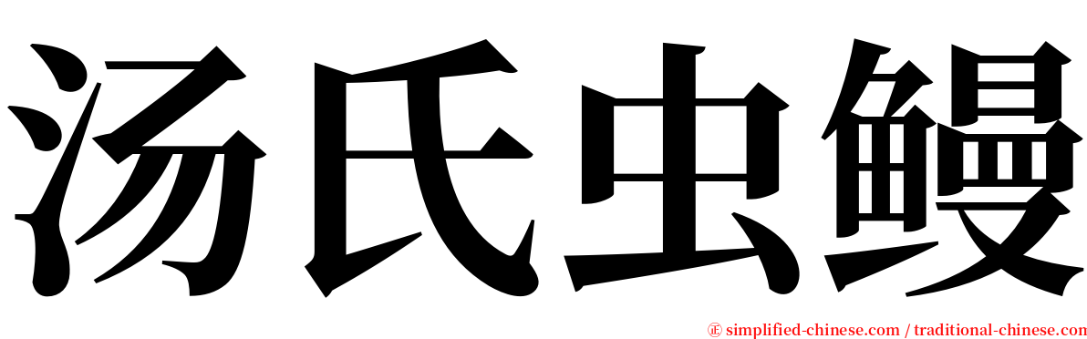 汤氏虫鳗 serif font