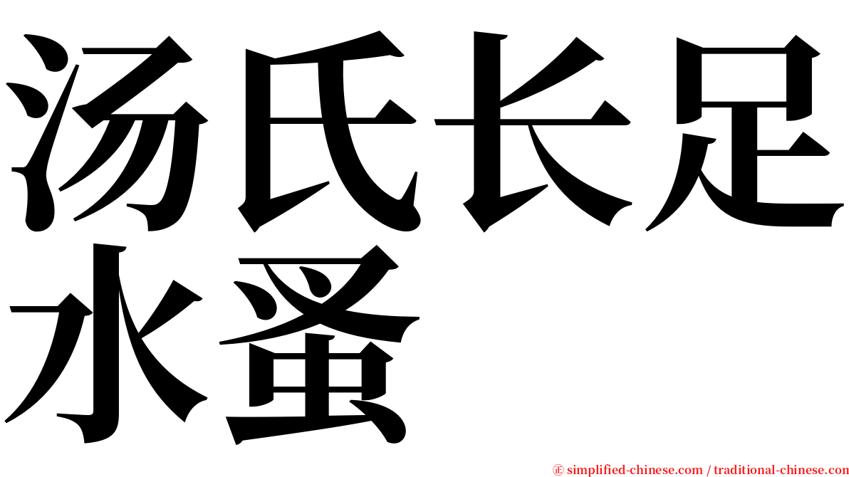 汤氏长足水蚤 serif font