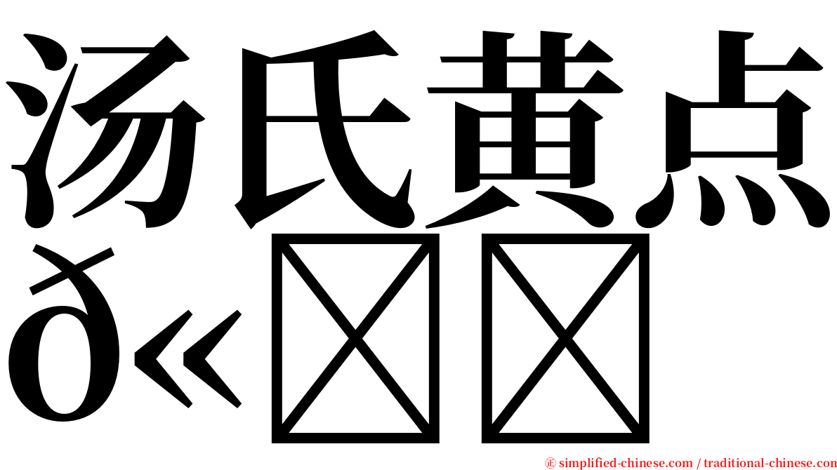 汤氏黄点𫚙 serif font