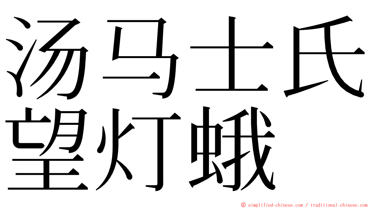 汤马士氏望灯蛾 ming font