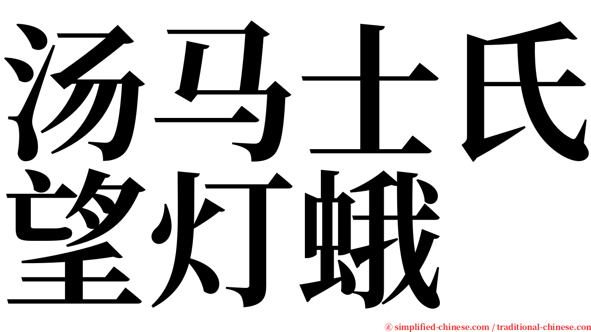 汤马士氏望灯蛾 serif font