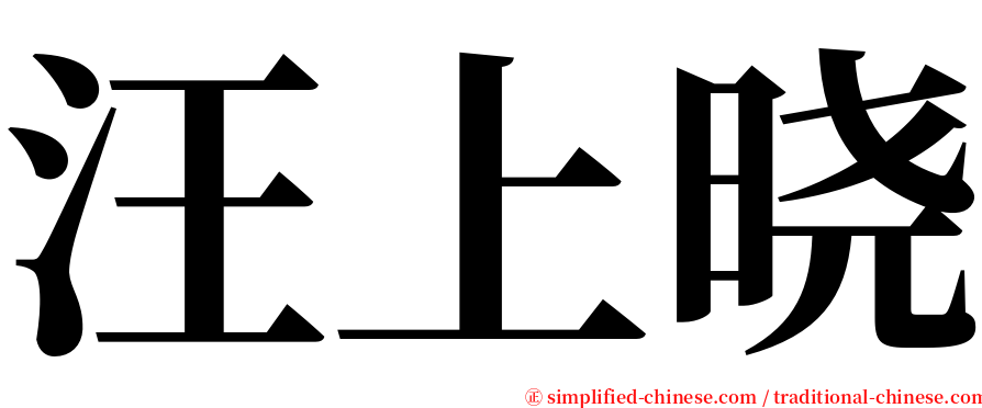 汪上晓 serif font