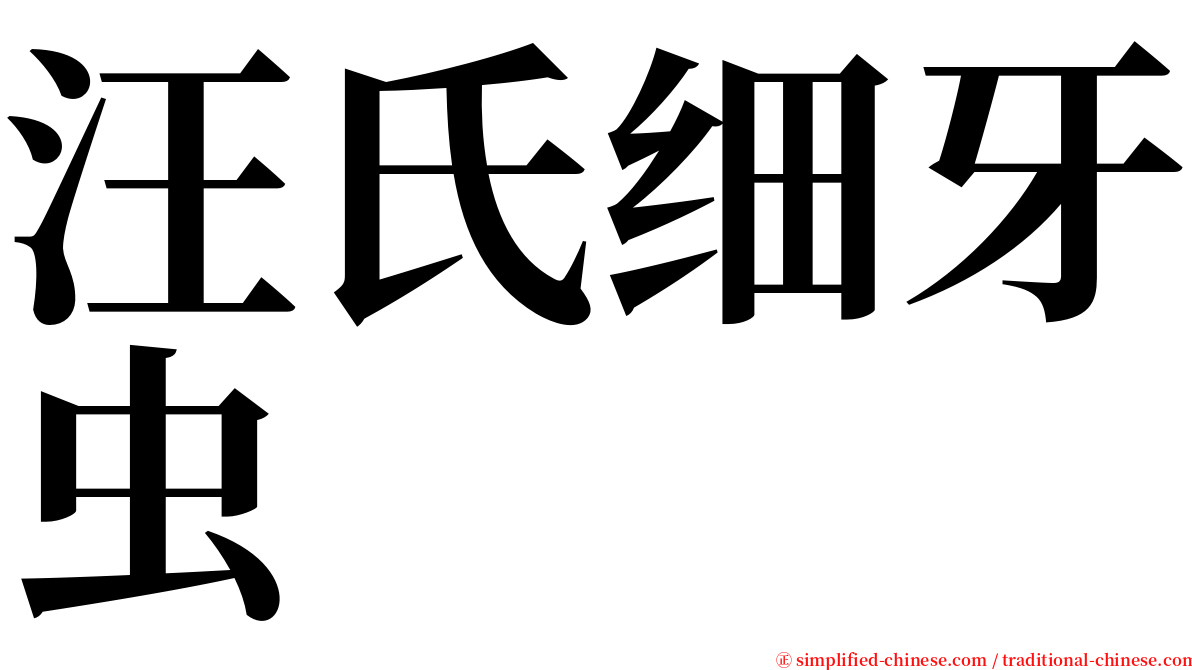 汪氏细牙虫 serif font