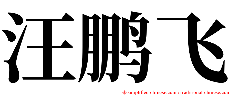 汪鹏飞 serif font