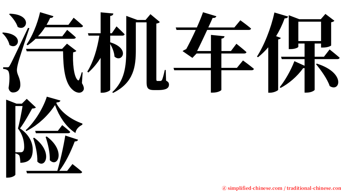 汽机车保险 serif font