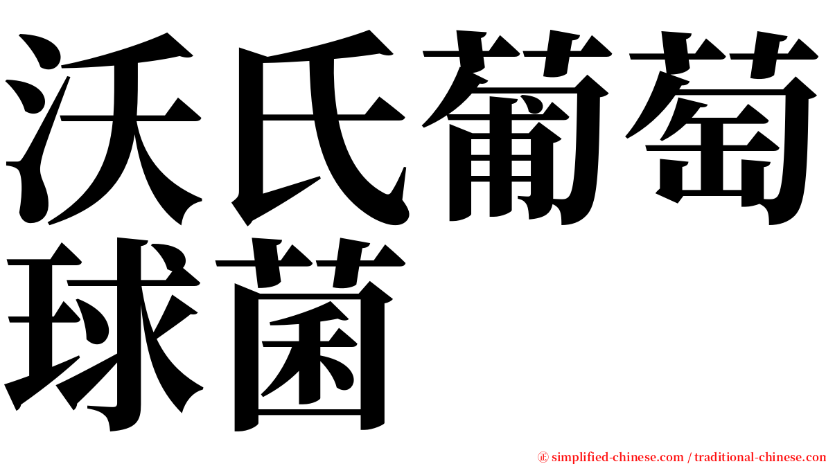 沃氏葡萄球菌 serif font