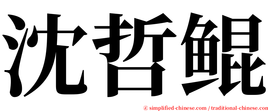 沈哲鲲 serif font