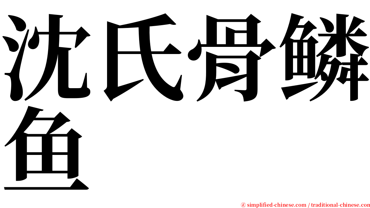 沈氏骨鳞鱼 serif font