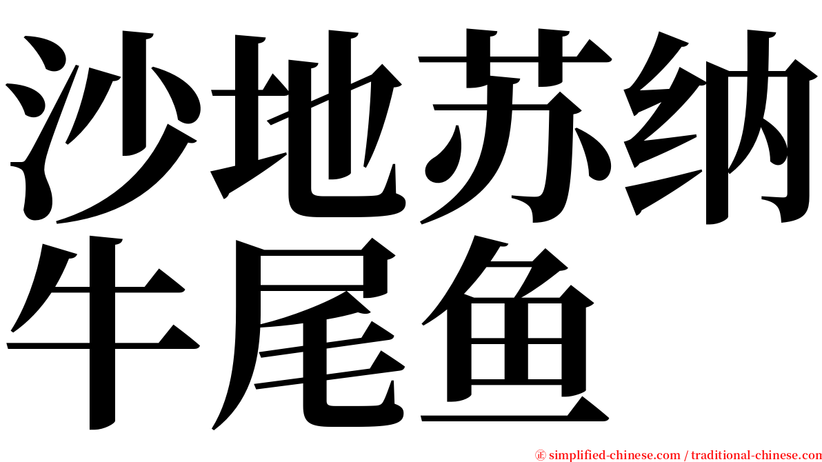 沙地苏纳牛尾鱼 serif font