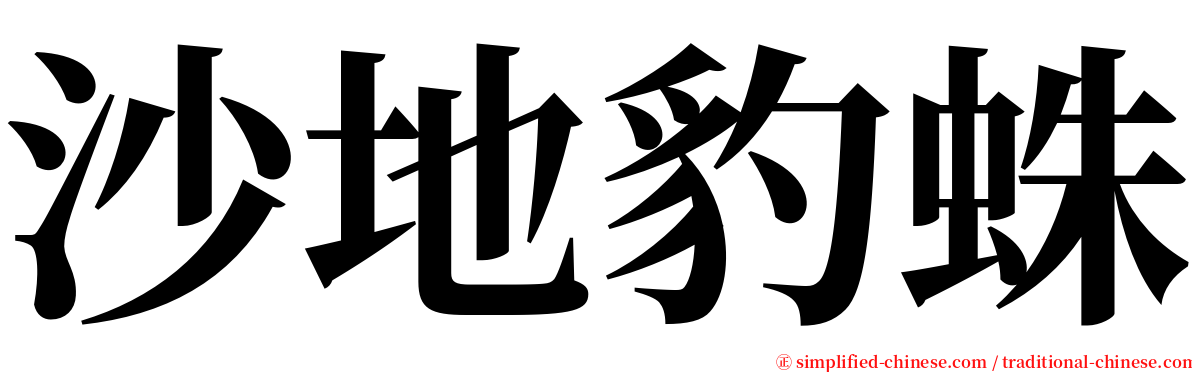 沙地豹蛛 serif font