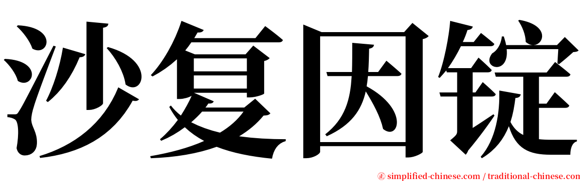 沙复因锭 serif font