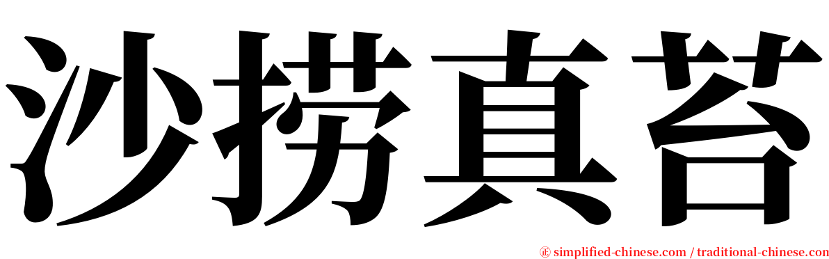 沙捞真苔 serif font