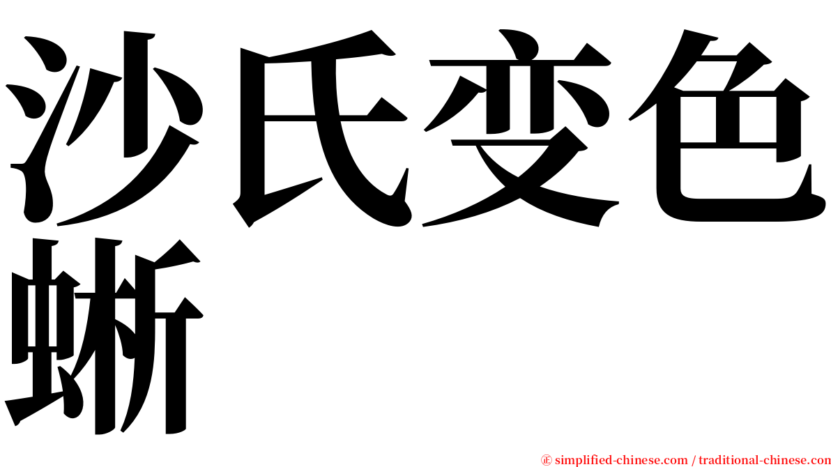 沙氏变色蜥 serif font