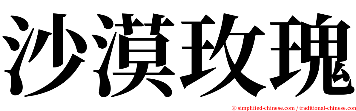 沙漠玫瑰 serif font