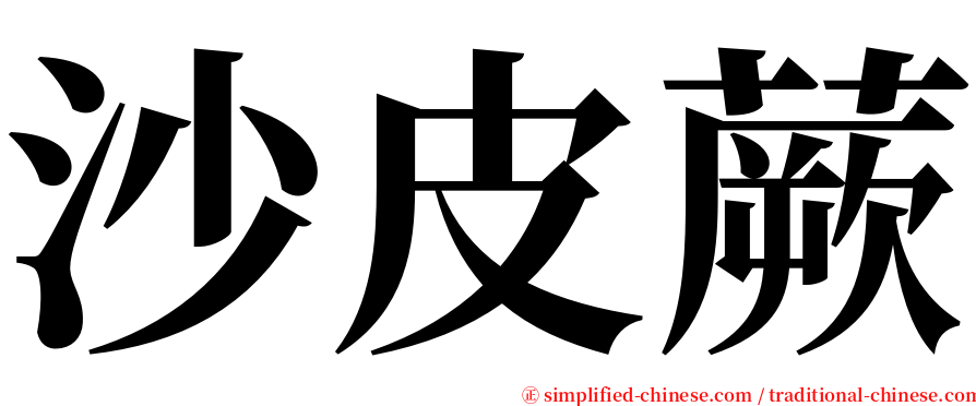 沙皮蕨 serif font