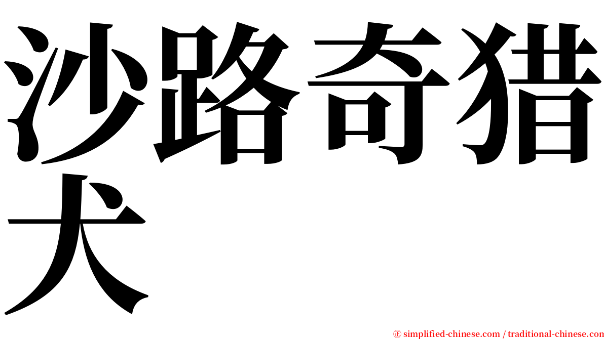 沙路奇猎犬 serif font