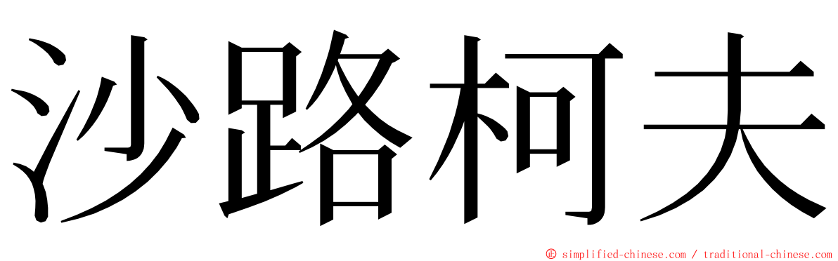 沙路柯夫 ming font