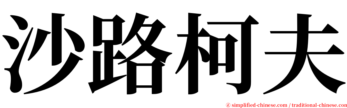 沙路柯夫 serif font