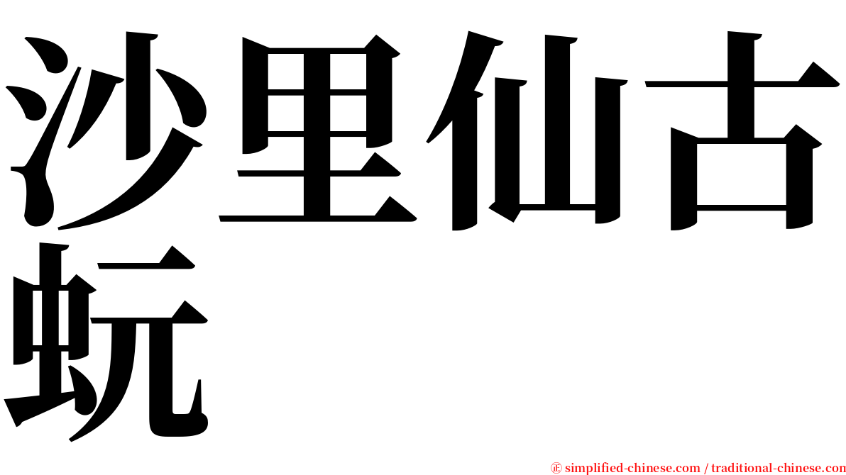 沙里仙古蚖 serif font