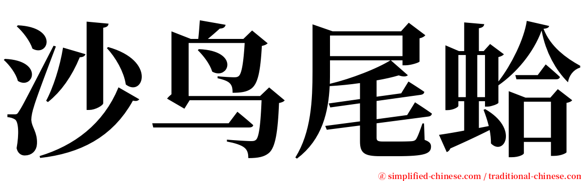 沙鸟尾蛤 serif font