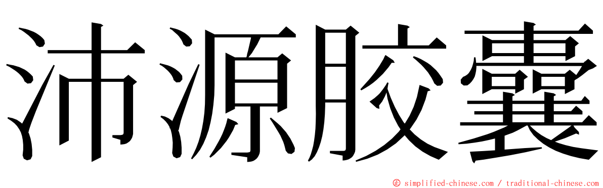 沛源胶囊 ming font