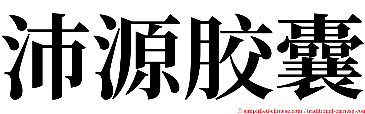 沛源胶囊 serif font