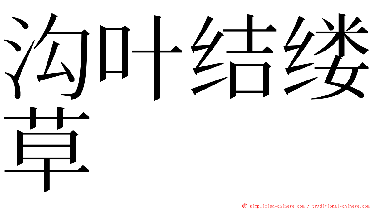 沟叶结缕草 ming font