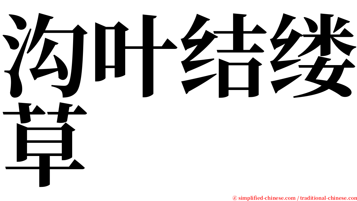 沟叶结缕草 serif font