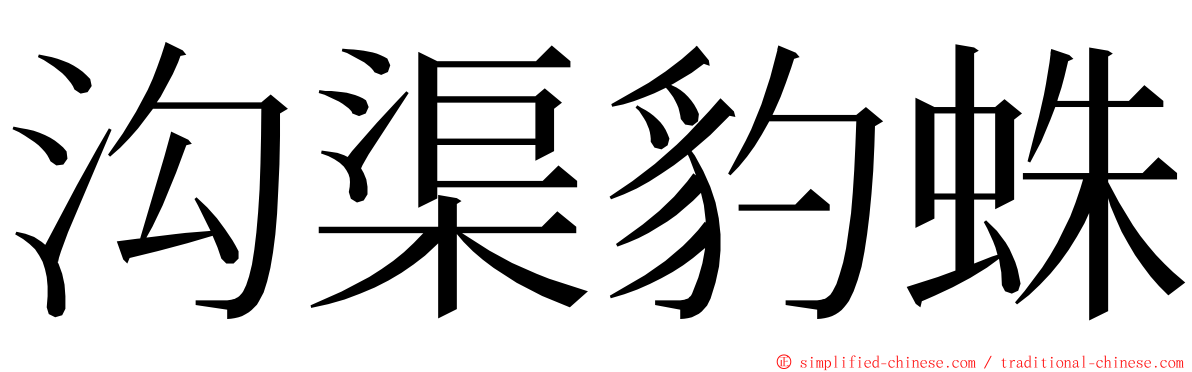 沟渠豹蛛 ming font