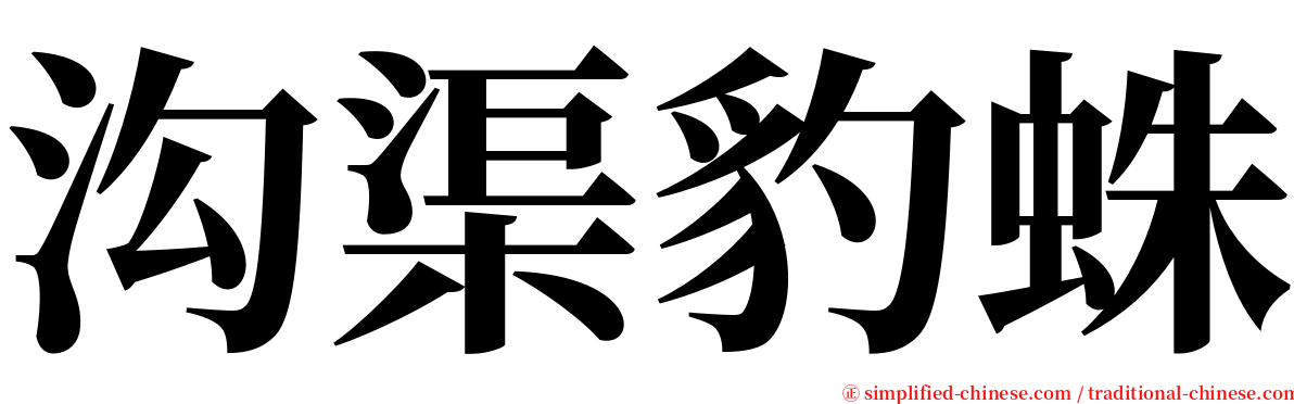 沟渠豹蛛 serif font