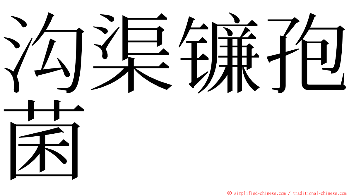 沟渠镰孢菌 ming font