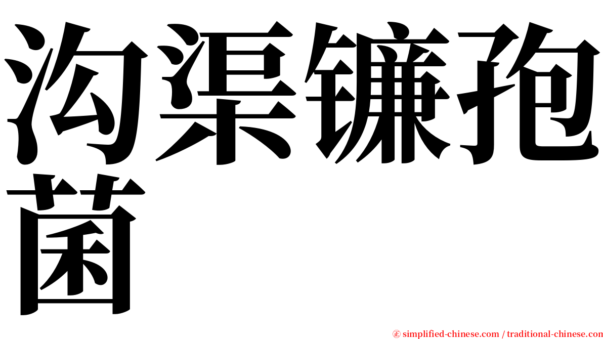 沟渠镰孢菌 serif font