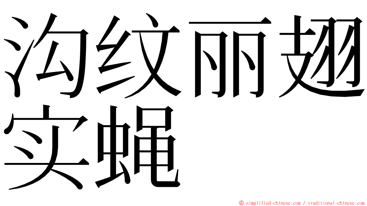 沟纹丽翅实蝇 ming font