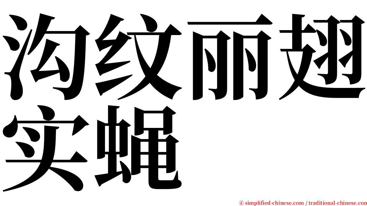 沟纹丽翅实蝇 serif font