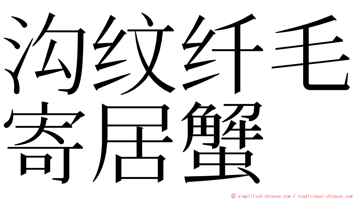 沟纹纤毛寄居蟹 ming font