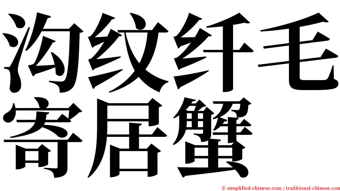 沟纹纤毛寄居蟹 serif font