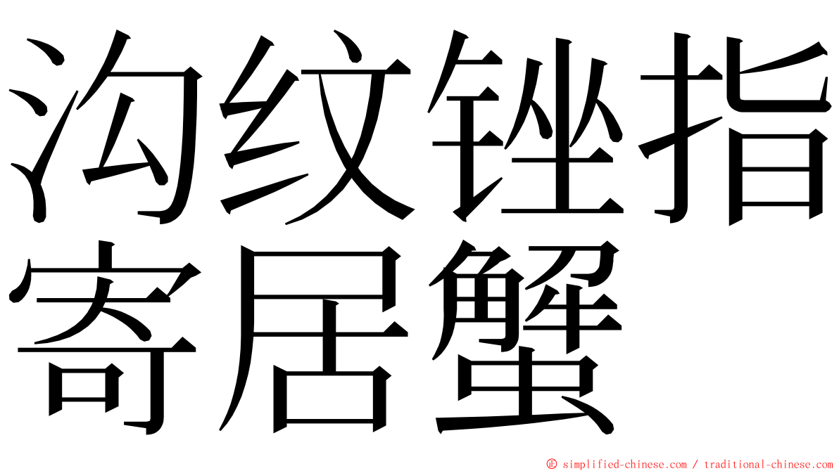 沟纹锉指寄居蟹 ming font