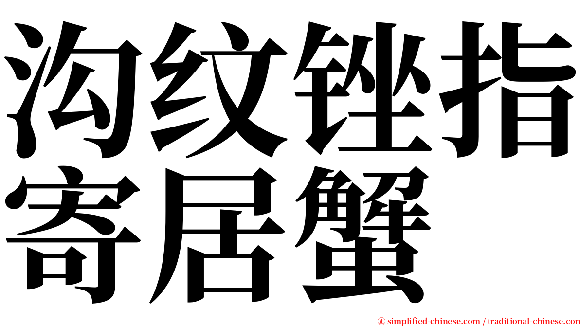 沟纹锉指寄居蟹 serif font