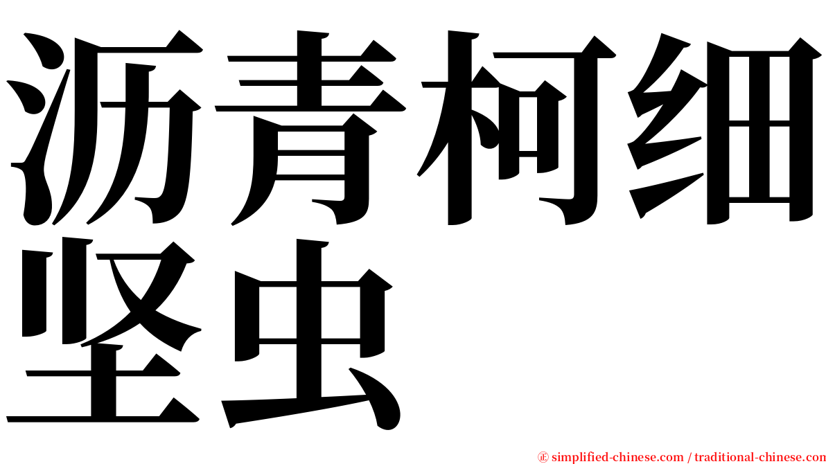 沥青柯细坚虫 serif font