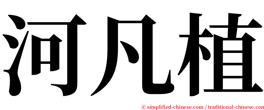 河凡植 serif font