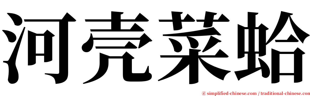 河壳菜蛤 serif font